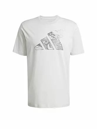 ADIDAS | Herren T-Shirt City Escape Logo Graphic | grau