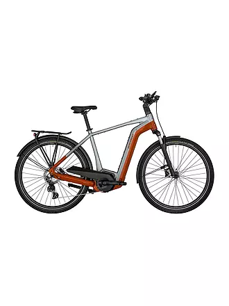 BERGAMONT | Herren E-Bike E-Horizon Edition LTD Gent | silber