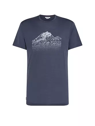 ICEBREAKER | Herren Funktionsshirt Mount Tech Lite | grau