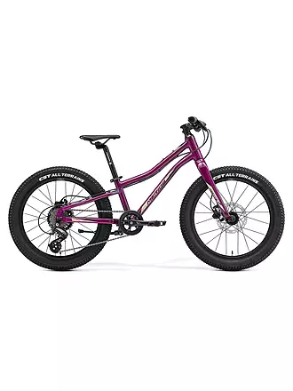 MERIDA | Jugend Mountainbike 20" MATTS J. 20+ | 