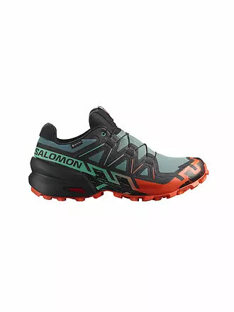 SALOMON | Herren Traillaufschuhe Speedcross 6 GTX | grau