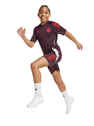 ADIDAS | Kinder Fußballshort Training FC Bayern