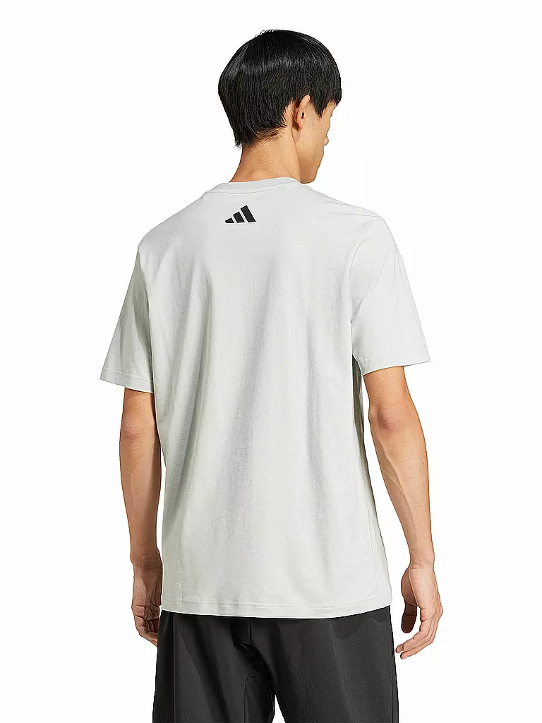 ADIDAS | Herren T-Shirt City Escape Logo Graphic | grau