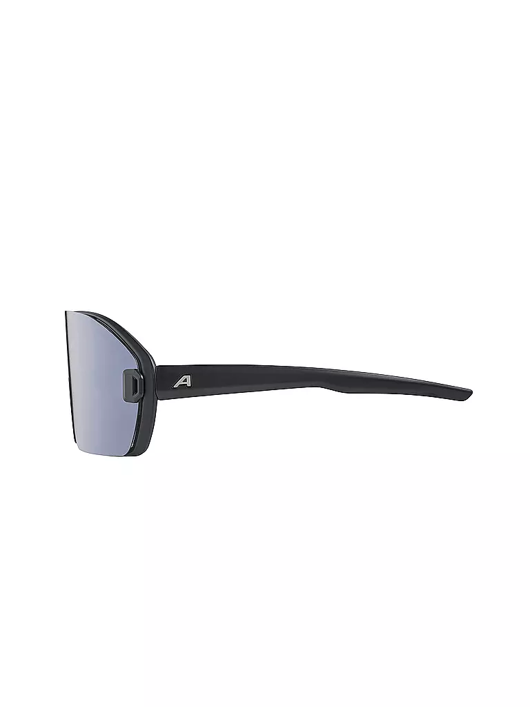 ALPINA | Herren Radbrille Bonfire Mag | grau