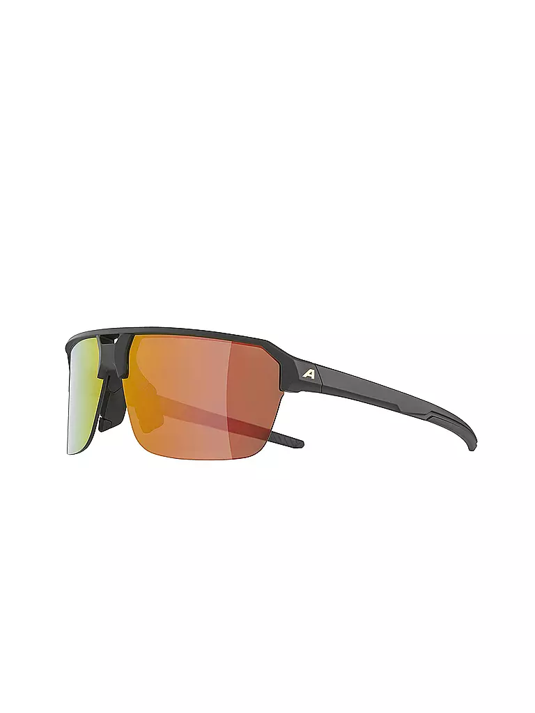 ALPINA | Herren Radbrille Swift HR | schwarz