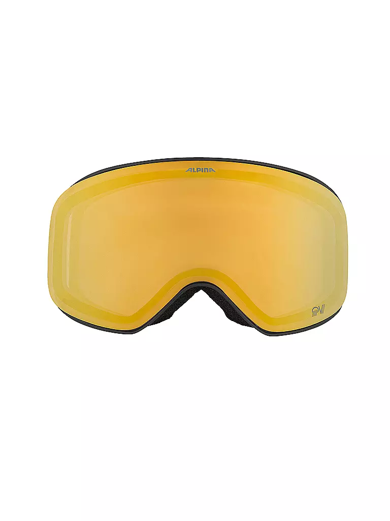 ALPINA | Skibrille Slope QV | schwarz