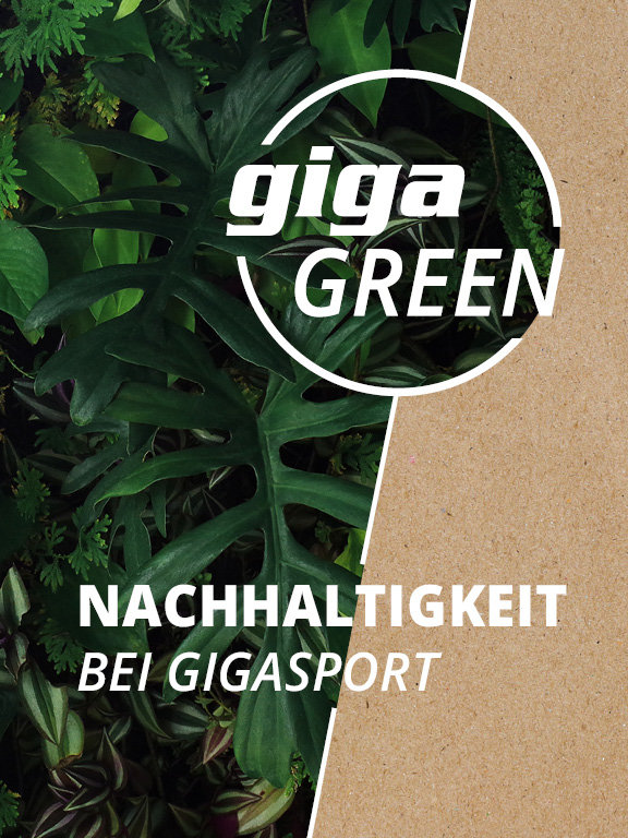 576×768-gigagreen-fs22