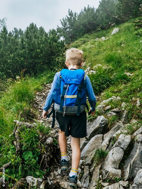 Ein Junge mit einem blauen Rucksack wandert auf einem felsigen, grünen Bergpfad, der von Gras und Bäumen umgeben ist.