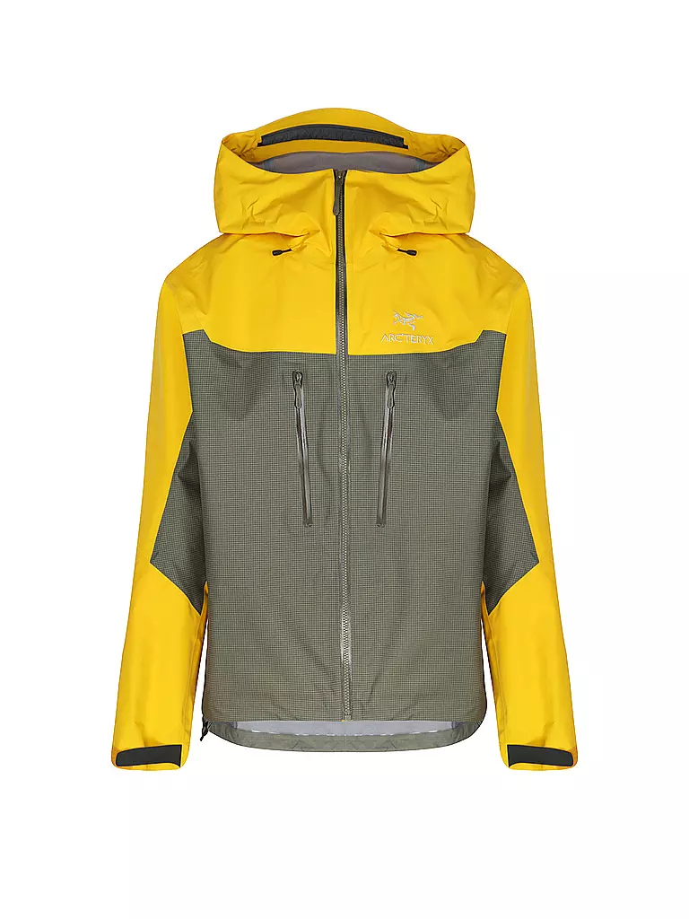 ARCTERYX | Herren Wanderjacke Alpha GTX Hoodie | grün