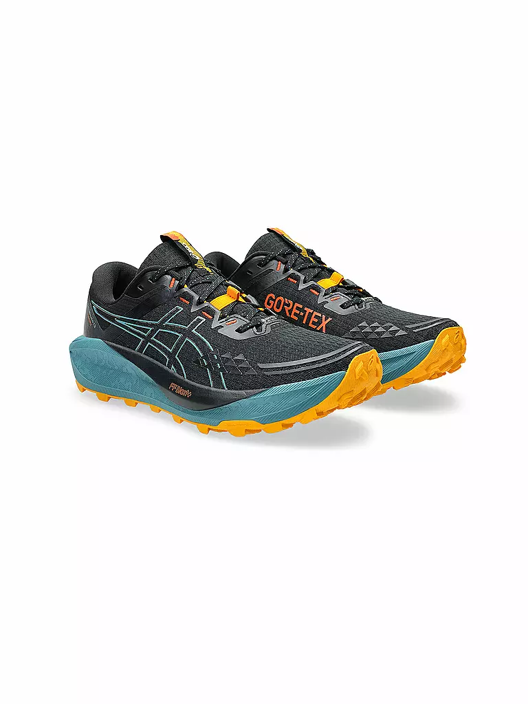 ASICS | Herren Traillaufschuhe Gel-Trabuco 13 GTX | schwarz