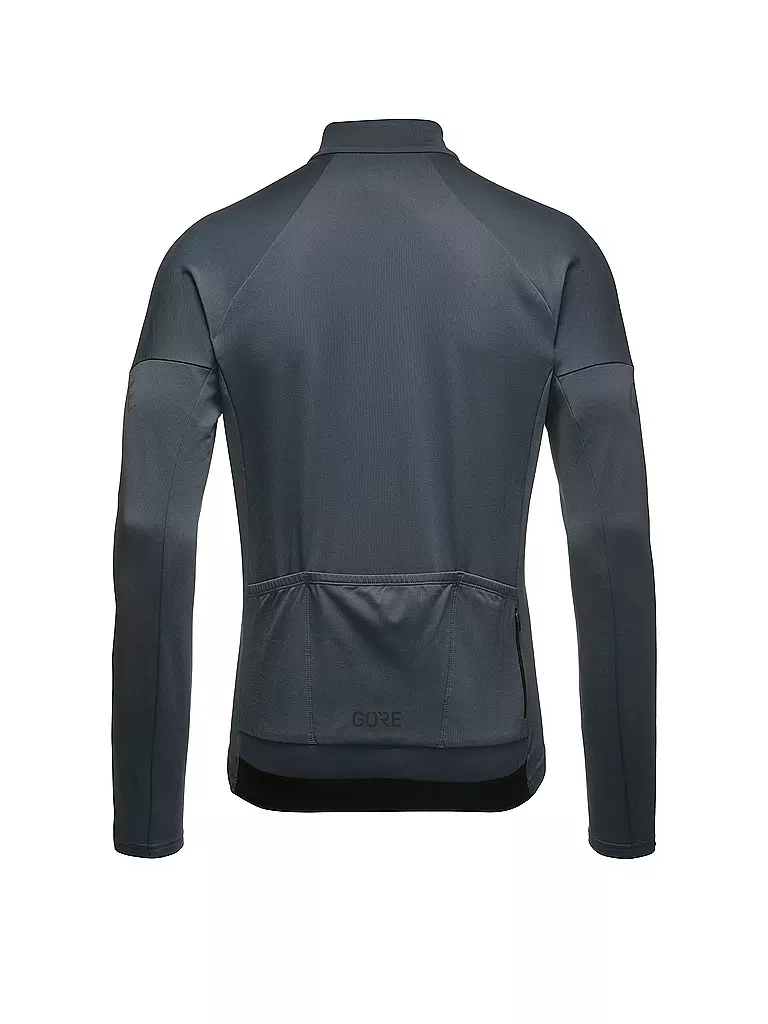 GOREWEAR | Herren Rad Trikot C3 Thermo FZ | grau