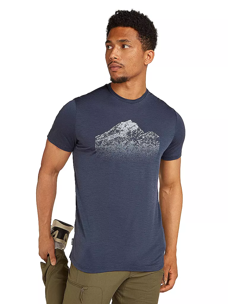 ICEBREAKER | Herren Funktionsshirt Mount Tech Lite | grau