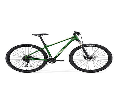 apollo evolution xc price