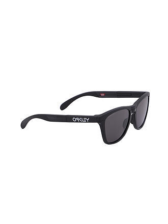 OAKLEY | Herren Lifestylebrille Frogskins Range Prizm Grey