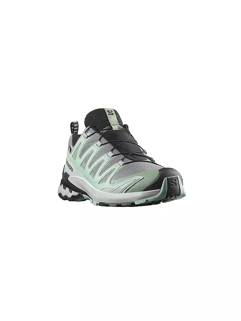 SALOMON | Damen Multifunktionsschuhe XA PRO 3D V9 GTX | mint