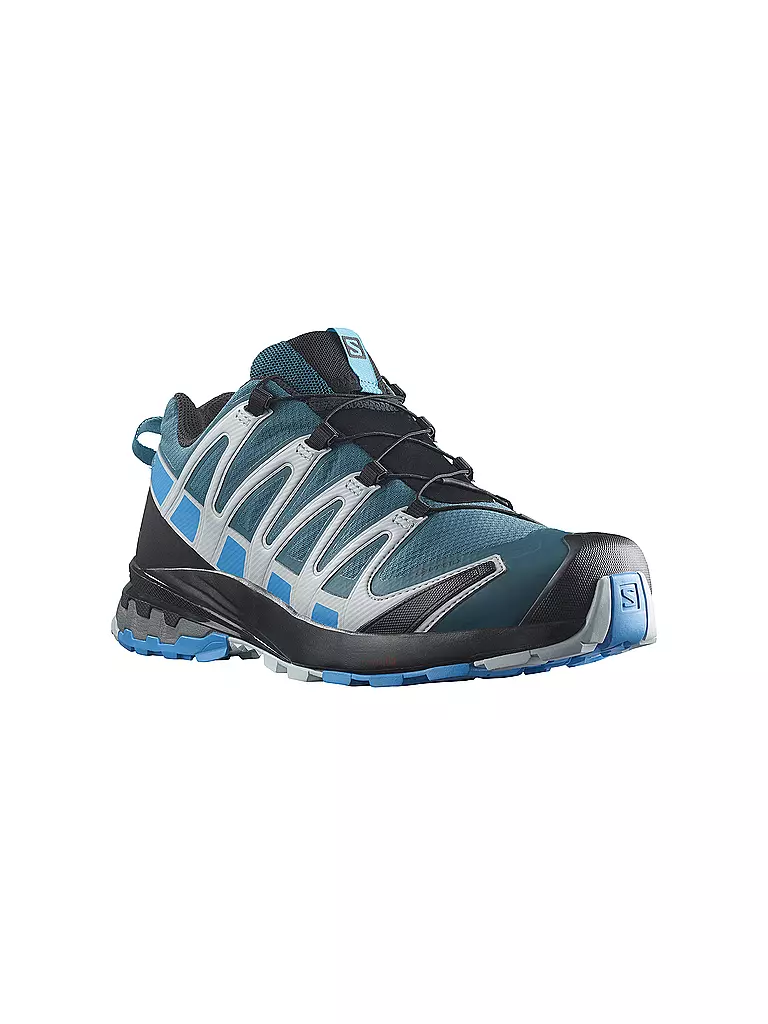 SALOMON | Herren Traillaufschuhe XA Pro 3D V8 GTX | blau