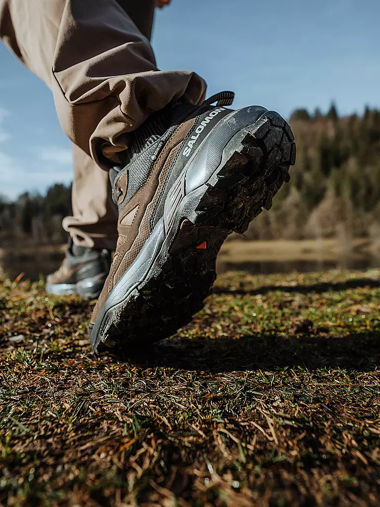 SALOMON | Herren Wanderschuhe X Ultra 360 GTX | braun