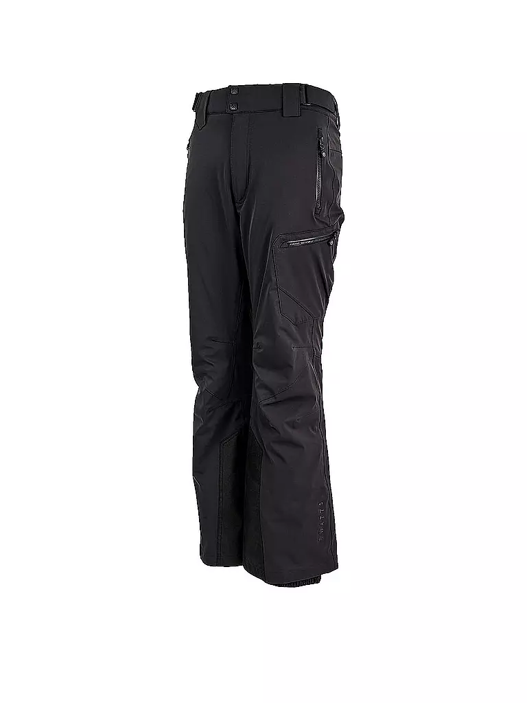 WATTS |  Herren Skihose Gostt  | grau