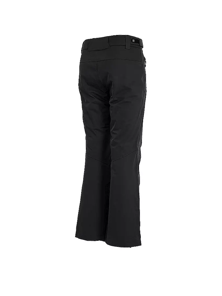 WATTS |  Herren Skihose Gostt  | grau